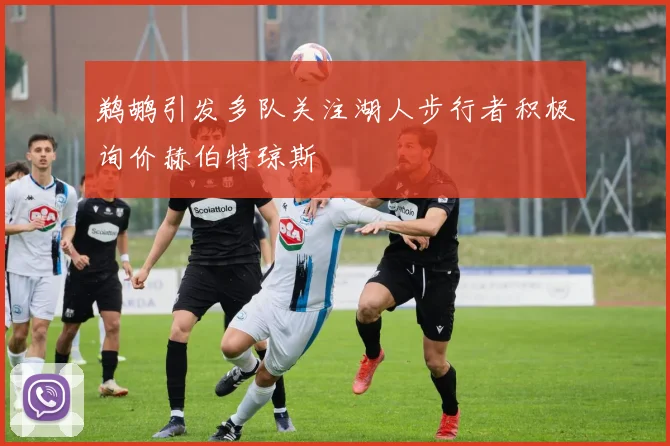 鹈鹕引发多队关注湖人步行者积极询价赫伯特琼斯