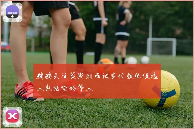 鹈鹕关注莫斯利面试多位教练候选人包括哈姆等人