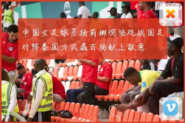 中国女足球员杨莉娜现场观战国足对阵泰国为武磊百场献上敬意
